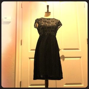 Carlalite black and white dress